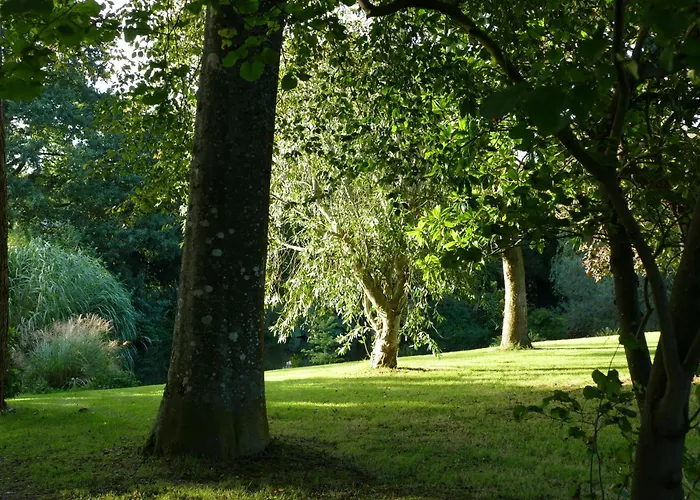 אכסניה Le Cocon D'amour 